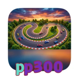 pp300